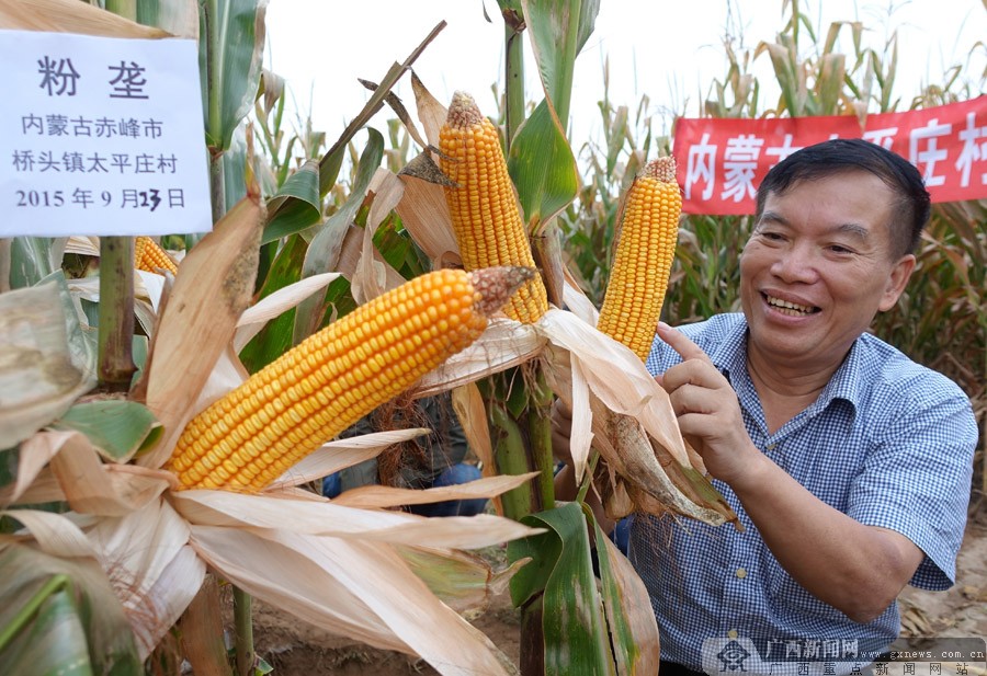 Our city is experimenting with the techn